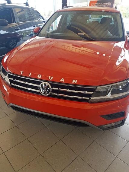 Молдинг, орнамент, лого на капот VOLKSWAGEN TIGUAN, VOTI18LOG | Зображення 4