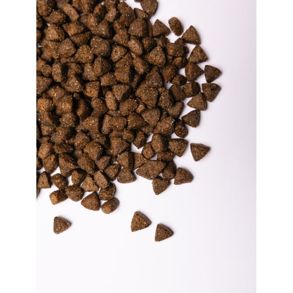 Корм сухий Savory All Breed Sterilised rich in Fresh Turkey для стерилізованих собак усіх порід зі свіжою індичкою 1 кг | Зображення 5