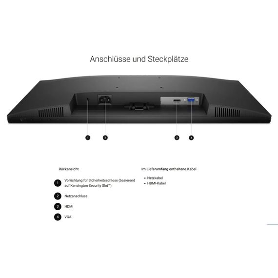 Монітор Dell SE2425HM (210-BQZT) | Зображення 6