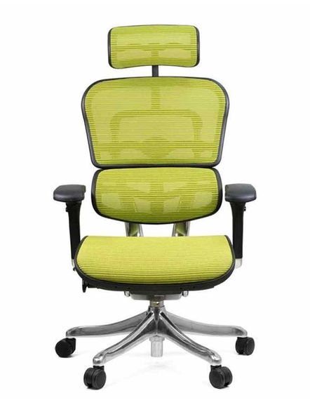 Кресло компьютерное ERGOHUMAN Plus Green | Зображення 4