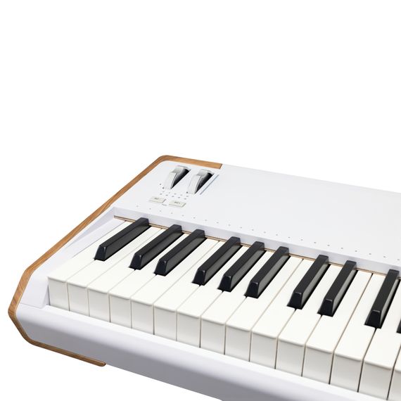 Синтезатор Arturia AstroLab 88 | Зображення 4