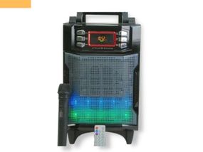 Портативна колонка XPRO RX-2900BT валіза 30Вт, USB, SD, FM радіо, Bluetooth, 1 мікрофон, ДУ чорна (lp-85158_2366)