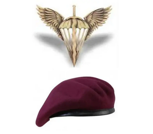 Берет "ДШВ" безшовный (57 размер)+кокарда "ДШВ" (бронза)