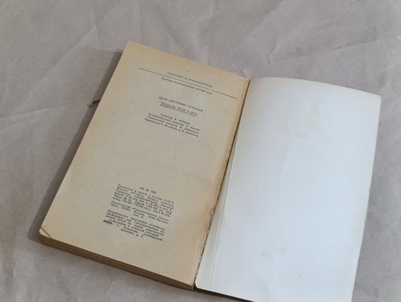 ІС. Тургенев
НАКАНУНЕ ВІДЧИНЬ І ЛІТКИ (класики та сучасники) | Зображення 6
