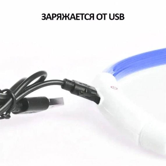 Светодиодный влагостойкий ошейник для собак USB USB Размер S-35 cm M-50 cm L-70 cm | Зображення 3