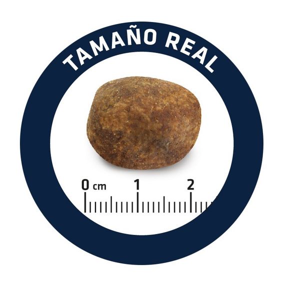 Сухий корм для собак породи ретрівер Advance Labrador Retriever, 11.5 кг | Зображення 4