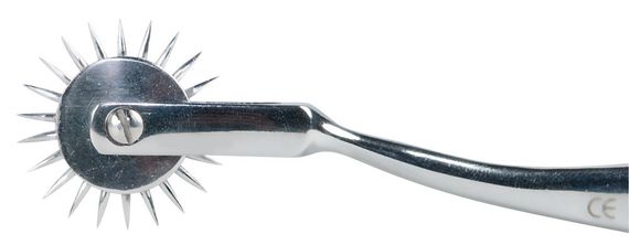 Колесо Вартенберга игольчатое Pin Wheel Sex Aura | Зображення 2