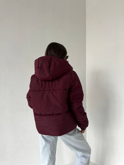 Жіноча тепла стьобана коротка зефірка куртка на блискавці з капюшоном розмір 48/50 колір бордовий UH270 | Зображення 3