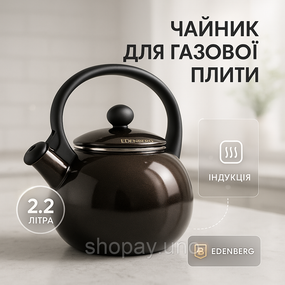 Чайник газовый нержавейка Edenberg, Чайник нержавейка со свистком бытовой Кухонный газовый LD-99