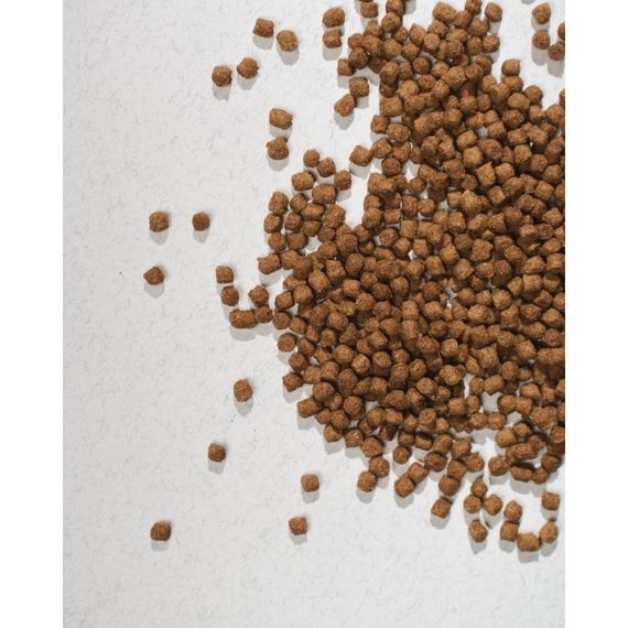 Корм сухий HalfHalf для кошенят з яловичиною 2 кг | Зображення 6