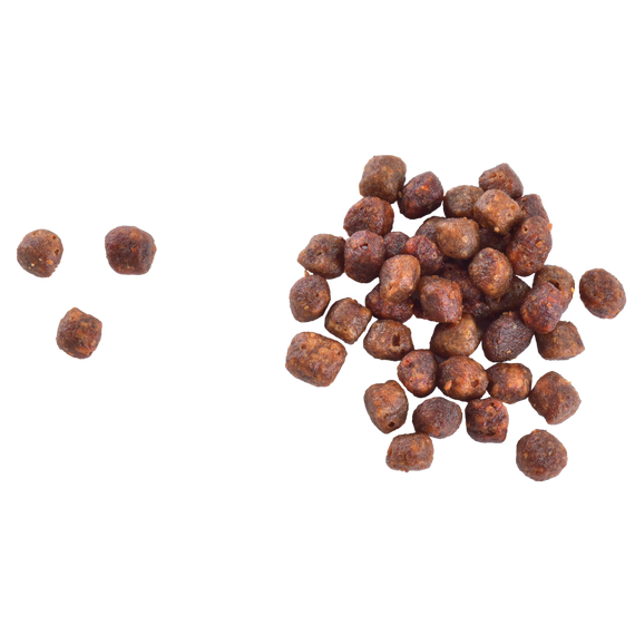 Корм сухий Brit Care Cat Grain Free Kitten Gentle Digestion Strong Immunity для кошенят для міцного імунітету з лососем 7 кг | Зображення 1