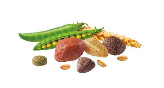 Сухий корм із яловичиною для собак Brekkies Dog Delice Meat, 7.25 кг | Зображення 3