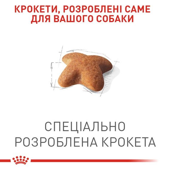 Корм Royal Canin Beagle Adult сухий для дорослих собак породи бігль 3 кг | Зображення 2