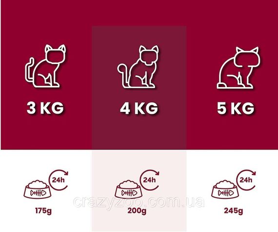 Вологий корм для котів Animonda Carny Beef з яловичиною 200 г 37071 | Зображення 1