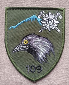 Шеврон 109 окремий гірсько-штурмовий батальйон (зелений)