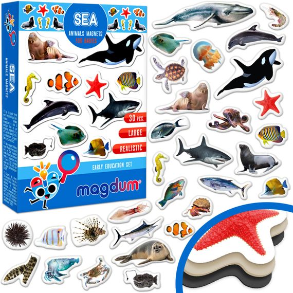 Дитячий набір магнітів Морські мешканці фото ML4031-28 EN | Зображення 1