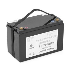 Аккумуляторная батарея Eyasta LP-2048W h LiFePO4 51.2V 40A h 2048W h
