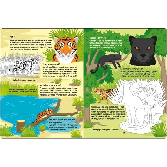 Розвиваючий зошит "Червона книга про хижаків" 15207 з наклейками | Зображення 3