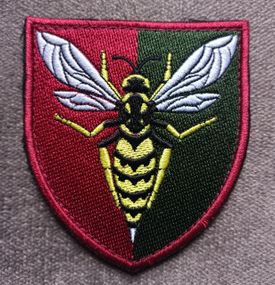 Шеврон 38 ЗРП (цветной)