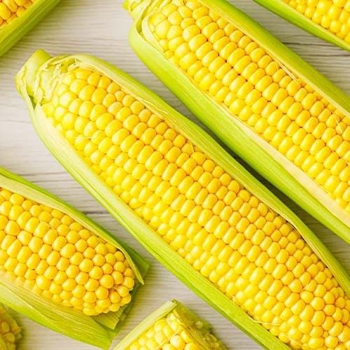 Насіння кукурудзи Цукрової 5 г (Насіння країни) | Зображення 1