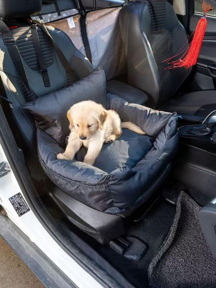 Автомобільне Крісло Переноска для Собак 2в1 Oxford Relax 55×50×35 см Водонепроникне в Машину Якорна Система Безпеки з Карабіном та | Зображення 1