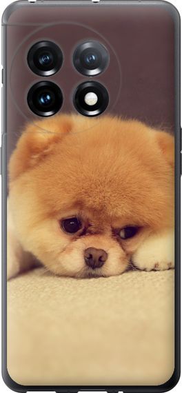 Чехол на OnePlus 11 Boo 2 "890u-2940-17620"