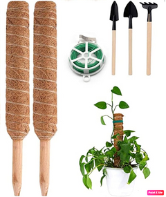 Інвентар для кімнатних рослин, кокосові палички, лопатка, сапка, граблі — 30 см