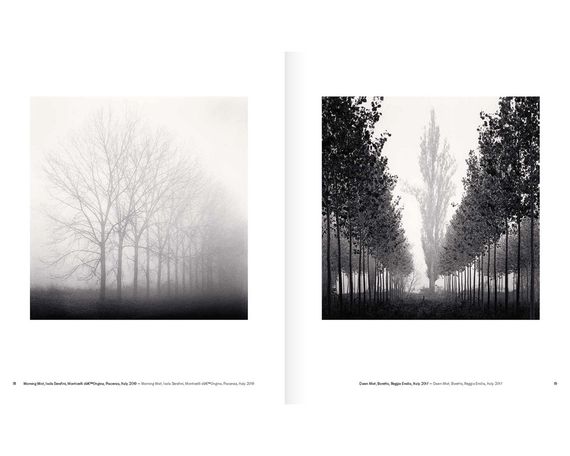 Книга Michael Kenna: Trees / Arbres (Signed) | Зображення 4