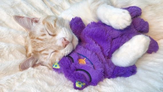 Іграшка для котів OutwardHound Petstages Purr Pillow | Зображення 1
