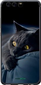 Чохол на Huawei P10 Димчастий кіт "825u-780-2448"
