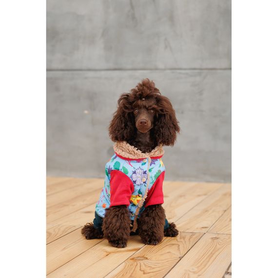 Костюм дівчинка Alisa XS для собак | Зображення 7