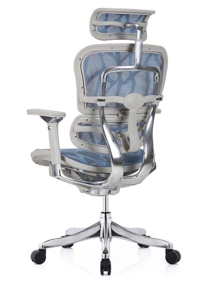 Кресло компьютерное ERGOHUMAN Plus Luxury (EHPL-AG-HAM-ZB5) Blue | Зображення 4