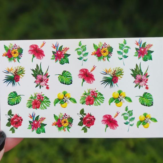 Слайдер F-04 на водной основе (5x8см)