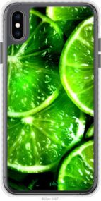 Чохол на iPhone XS Max Зелені часточки лимона "852pc-1557-2448"