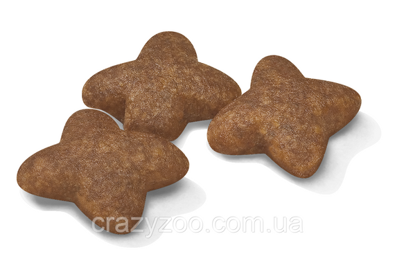 Сухой корм для собак малых пород Royal Canin Mini Adult 2 кг 3001020 | Зображення 1