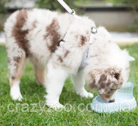 Шлейка для собак Ferplast NIKITA P XXS Блакитно-Сіра 22-33 см 75468610 | Зображення 3