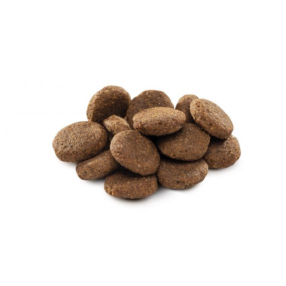 Корм сухий Brit Premium Dog Senior L+XL для собак похилого віку великих та гігантських порід вагою 25-90 кг з куркою 15 кг | Зображення 1