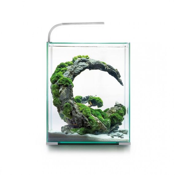 Акваріум Aquael Shrimp Set Smart для креветок прямий білий 19 л | Зображення 2