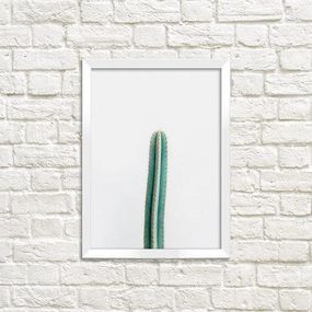 Постер в рамке Кактус 21x30 см, A4 (WMT4_ART051_WH)
