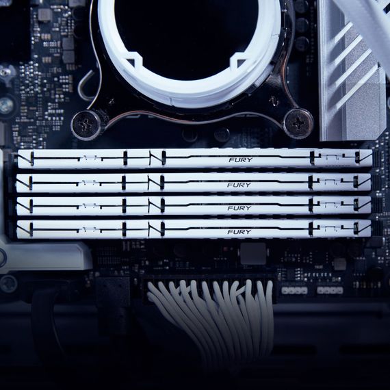 Модуль пам&#039;яті для комп&#039;ютера DDR5 32GB 6000 MHz Beast EXPO White Kingston Fury (ex.HyperX) (KF560C36BWE-32) | Зображення 4