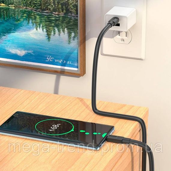 Кабель Hoco Type-C to Type-C Solid charging data cable X84 |1m, 60W, 3A| | Зображення 6