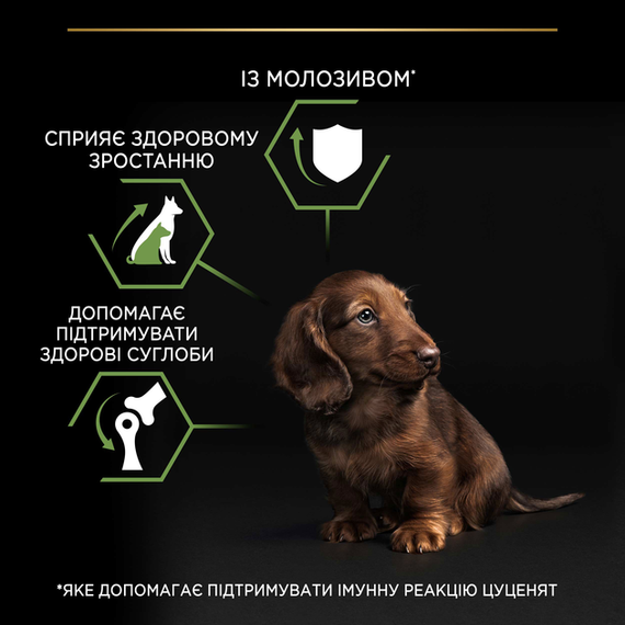 Сухий корм для собак Purina PRO PLAN Small & Mini Puppy Healthy Start для цуценят дрібних порід з куркою 700г | Зображення 3