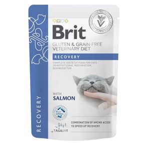 Корм вологий Brit GF VD Recovery для кішок із лососем 85 г