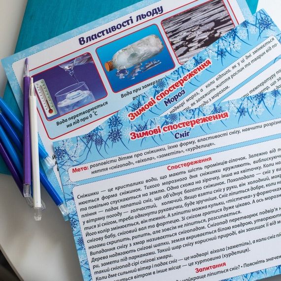 Дидактический материал "Зимние наблюдения" 13107147, 16 карточек | Зображення 7