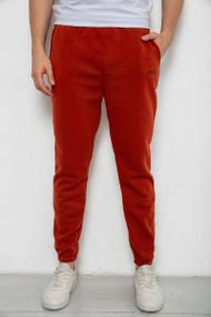 Спортивные штаны мужские на флисе, цвет терракотовый, 238R57256-1