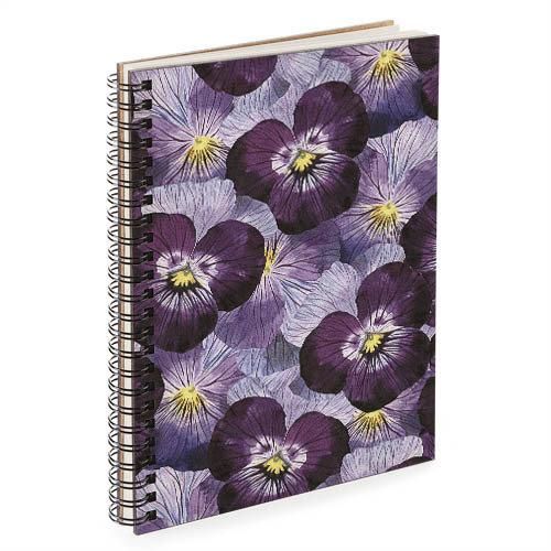 Скетчбук Анютины глазки 18x21 см (BDP_FFL001)