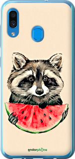 Чохол на Samsung Galaxy A20 2019 A205F Єнотик з кавуном "4605t-1761-2448"
