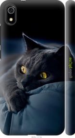 Чохол на Xiaomi Redmi 7A Димчастий кіт "825m-1716-2448"