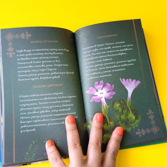 Блокнот, щоденник, записник Мавка | Зображення 7