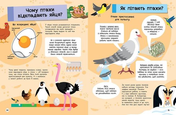 Велика енциклопедія для чомусика Ранок N901723У shop (9786170976307) | Зображення 2